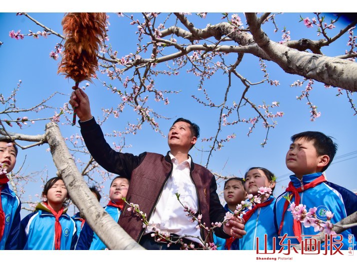 山东枣庄：课堂搬进桃花园