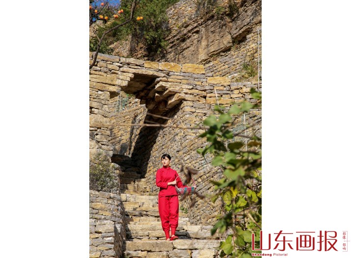 柿子沟"九儿"