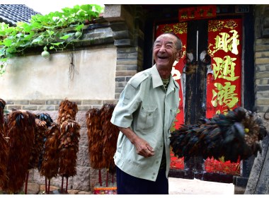 掸子人生