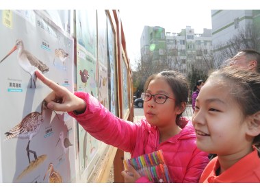 山东东营：世界野生动植物日 为濒危动物涂色