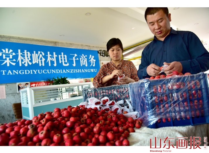 山东枣庄：携资带技  回乡创业