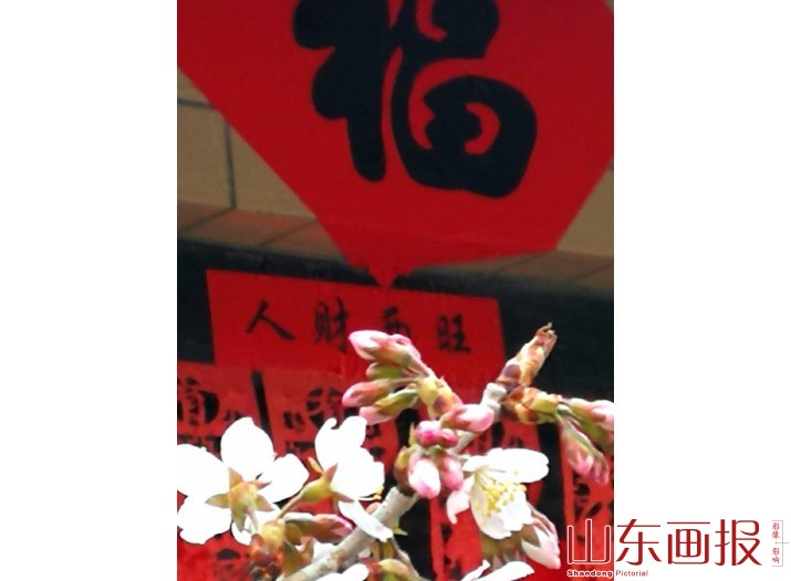 春意盎然