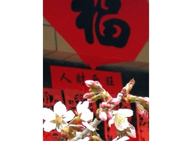 春意盎然
