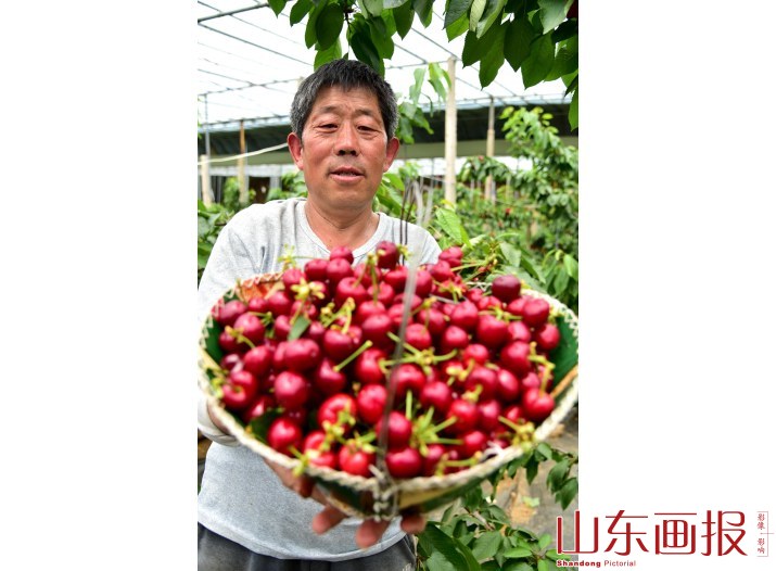 山东枣庄：携资带技  回乡创业