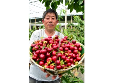 山东枣庄：携资带技  回乡创业