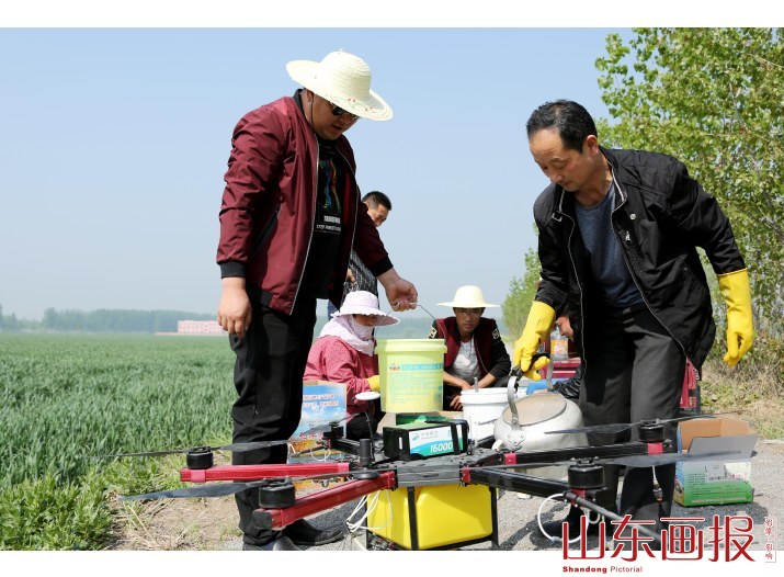 山东枣庄：“全国种粮大户”租赁无人机免费为贫困户小麦喷肥