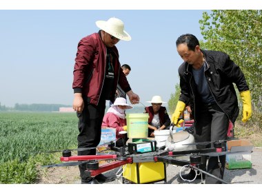 山东枣庄：“全国种粮大户”租赁无人机免费为贫困户小麦喷肥