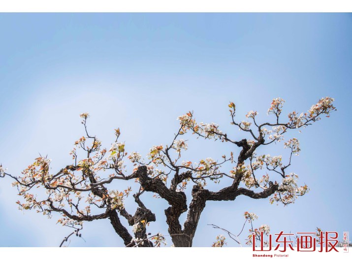 昌邑博陆山