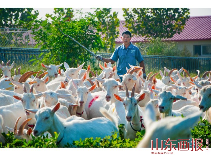 《绿色喂养》