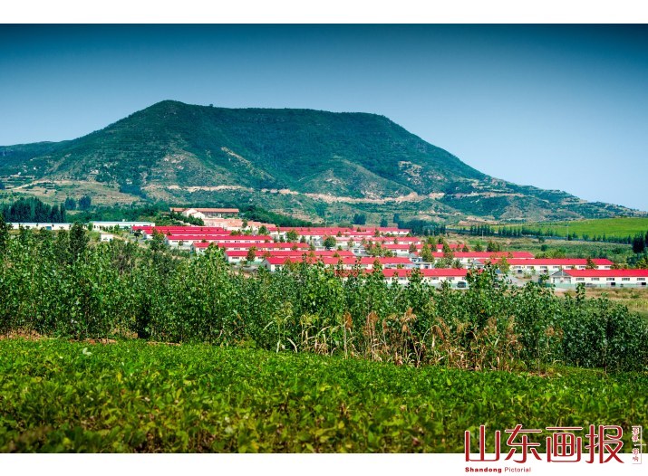 《阳春奶场新貌》