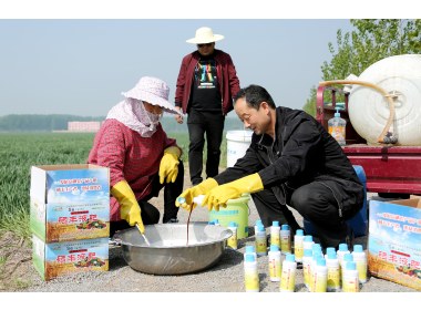 山东枣庄：“全国种粮大户”租赁无人机免费为贫困户小麦喷肥