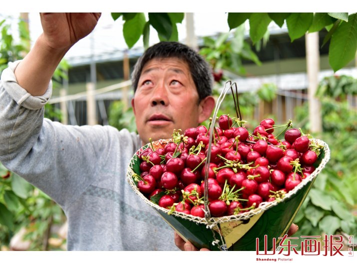 山东枣庄：携资带技  回乡创业