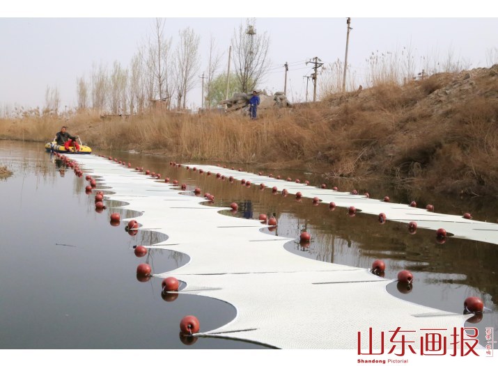 山东东营：一张网破解黑臭水体治理“顽疾