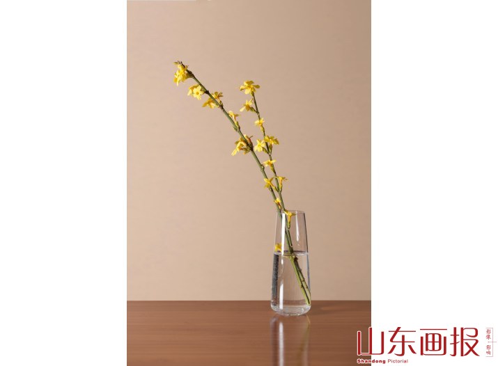 极简主义静物 · 迎春花