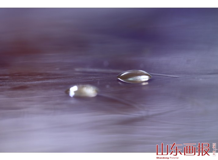 滴珠子