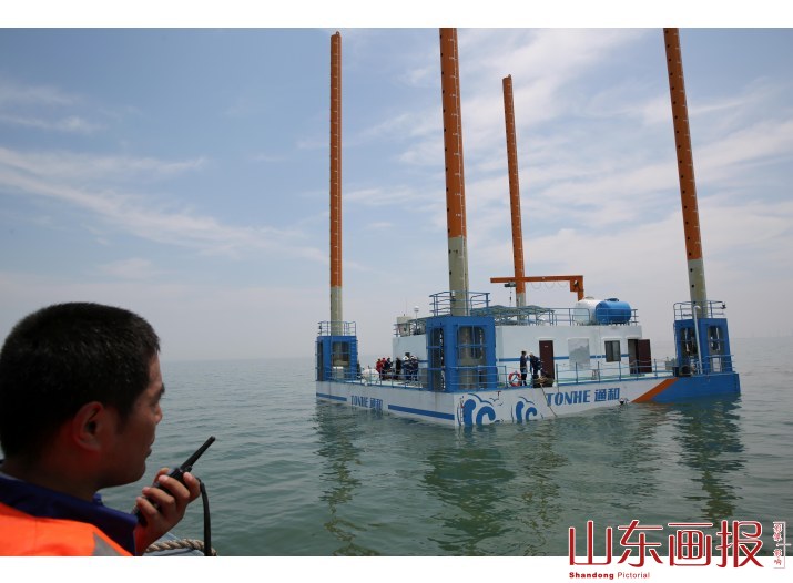 黄三角首座海洋牧场平台安家东营 助力耕耘深蓝