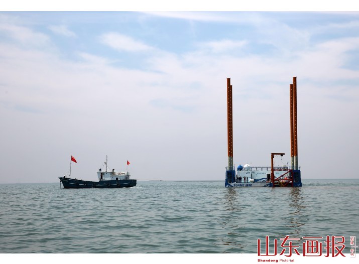 黄三角首座海洋牧场平台安家东营 助力耕耘深蓝