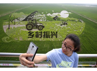 山东东营：九色水稻种出巨幅3D稻田画助力乡村休闲游
