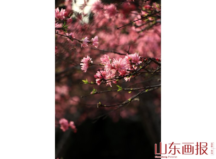德州生态美(6)