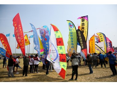 第35届潍坊国际风筝节(17)