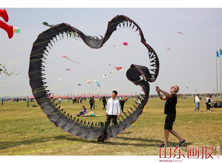 第35届潍坊国际风筝节(6)