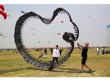 第35届潍坊国际风筝节(6)