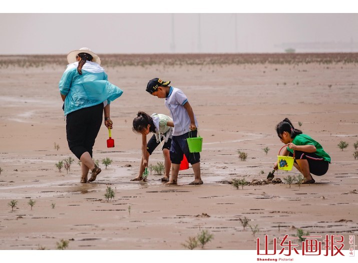 海滩淘宝