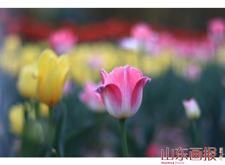 德州生态美(3)