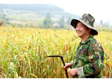 丰收喜悦
