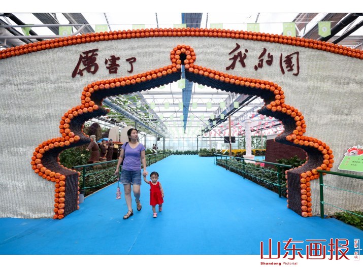 兰到静时香有声——兰陵代村“领头雁”王传喜和他的乡土之恋