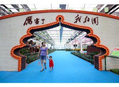 兰到静时香有声——兰陵代村“领头雁”王传喜和他的乡土之恋