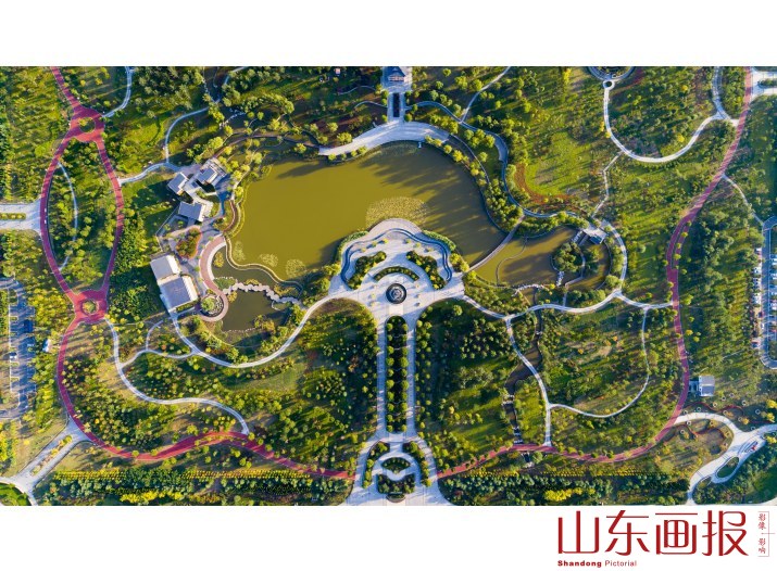 航拍章丘林荫公园俯视图