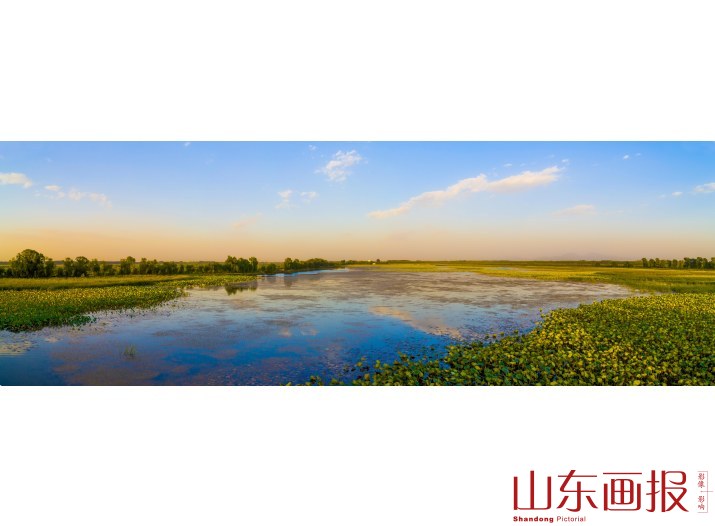 航拍章丘白云湖