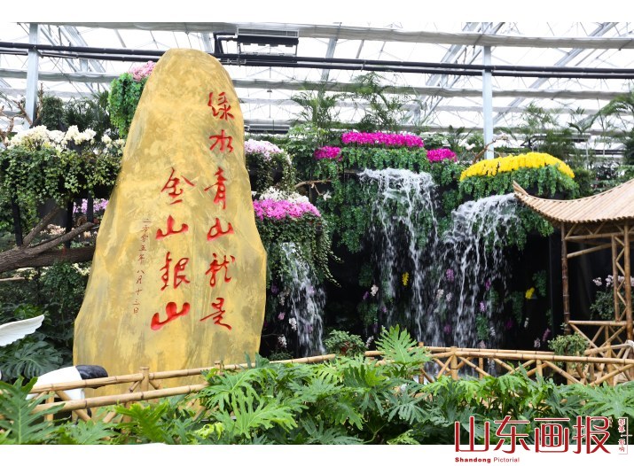 兰到静时香有声——兰陵代村“领头雁”王传喜和他的乡土之恋