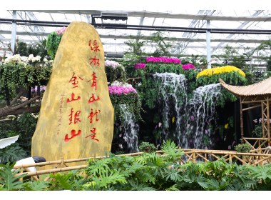 兰到静时香有声——兰陵代村“领头雁”王传喜和他的乡土之恋