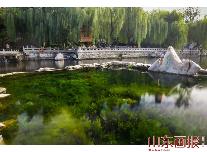 济南黑虎泉解放阁与护城河(11)