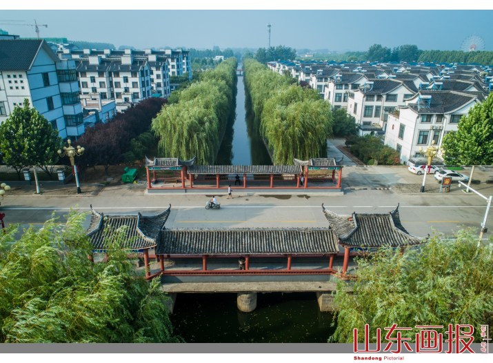 兰到静时香有声——兰陵代村“领头雁”王传喜和他的乡土之恋