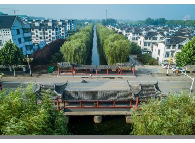 兰到静时香有声——兰陵代村“领头雁”王传喜和他的乡土之恋