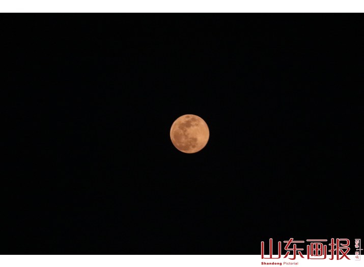 红月