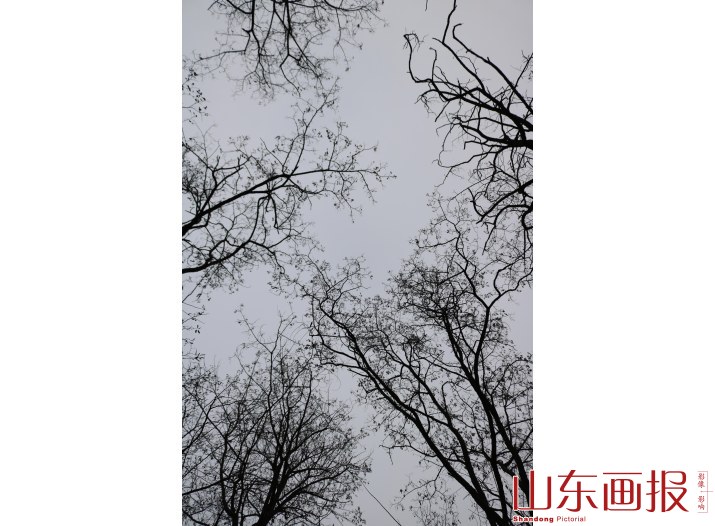 冬