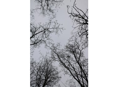 冬
