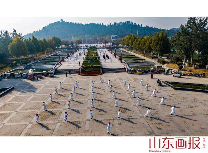 太极垂光