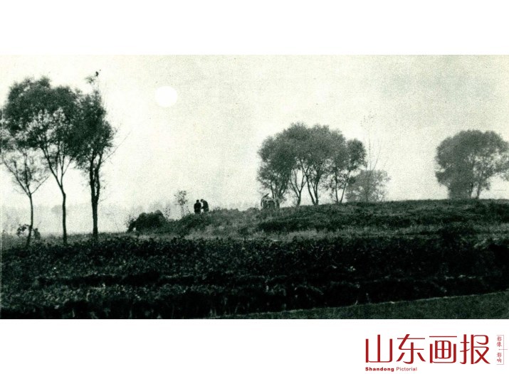 刘台遗址