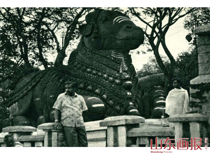 “神牛”石雕