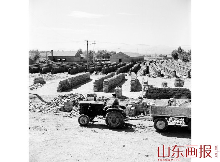 莱芜县红星大队