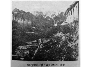 海阳东野口村被日寇焚烧的街道
