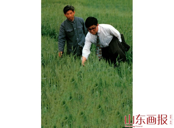 李荣锋行长和赵锦章副行长深入田间察看小麦生产情况
