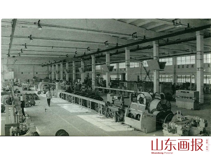 电线电缆有限公司