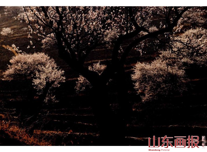 春
