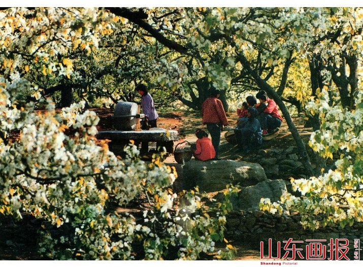 花丛之中